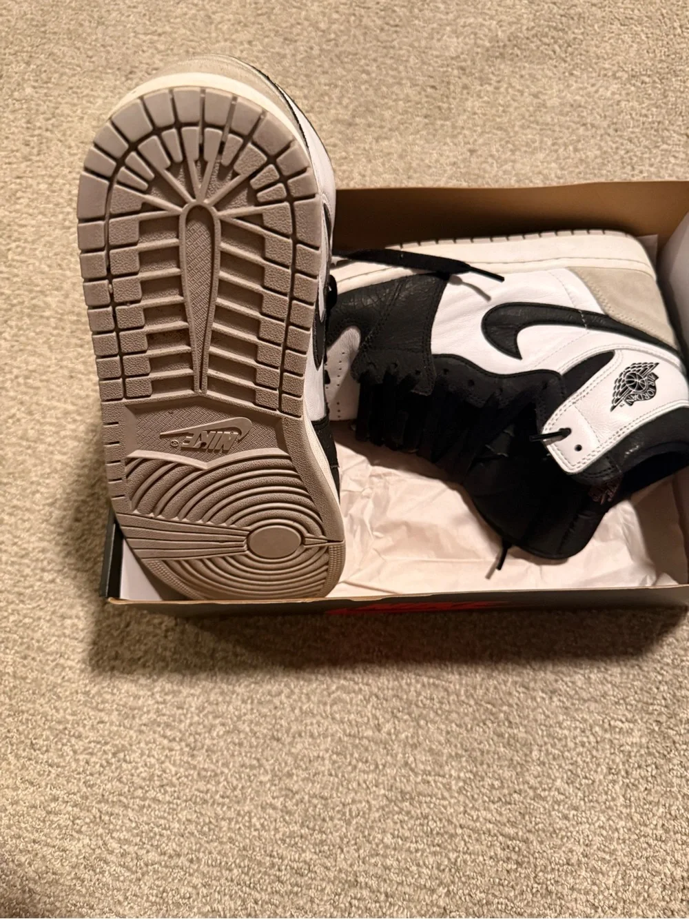Air Jordan 1 retro
